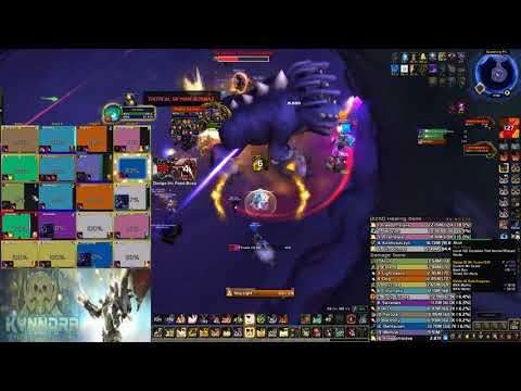 Rise Above vs Shad'har the Insatiable Mythic - Holy Paladin PoV