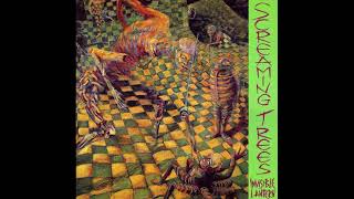 Screaming Trees - Invisible Lantern (Private Remaster) - 05 Shadow Song