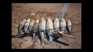 preview picture of video 'Float tube Stripers at Willow Beach'