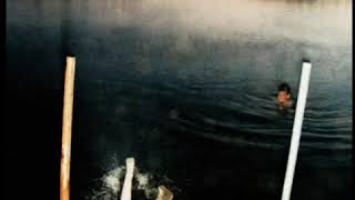 All We Grow - S.carey [Full Album]