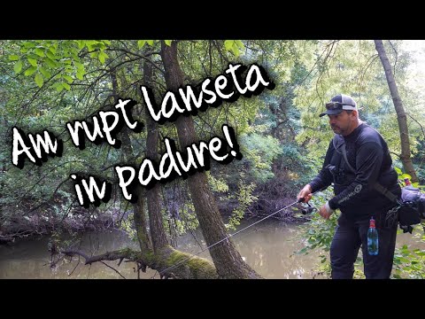 🔴Natural fishing in the forest. I caught a beautiful perch 🐟 and broke the rod!!!🎣🎣🎣