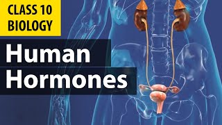 #controlandcoordination| Hormones in Animals | cbse Biology | NCERT class 10 science chapter 7