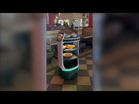 Servi Plus Review Video 3