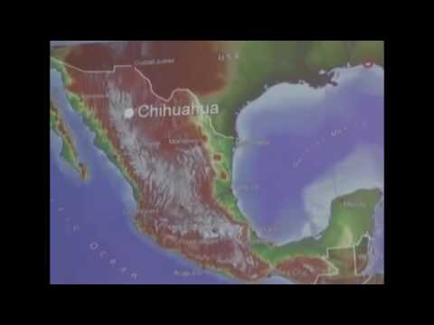 Lloyd Pye ★ Annunaki Starchild Skull   Intervention Theory of Human Origins   Documentary