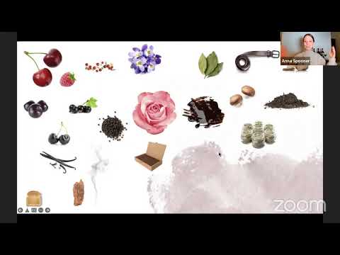 Sip-Size - An introduction to nebbiolo