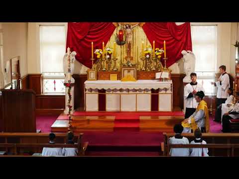 SSPXNZLIVE Livestream - 21 April 2019 High Mass