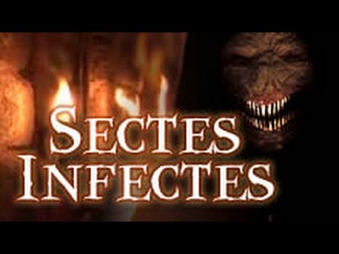 #41 - Sectes infectes