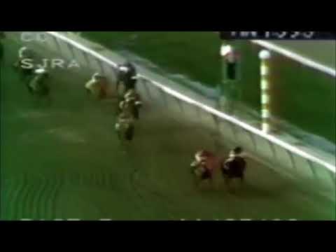 Momentos de la Serie Hípica del Caribe - Puerto Rico 1983-1993