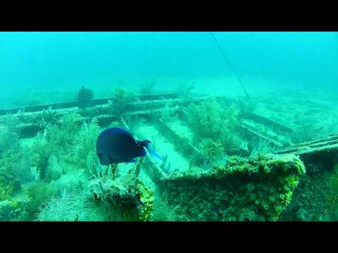 Key Largo Dive Vacation - Day 2 - Scuba-Do & Benwood