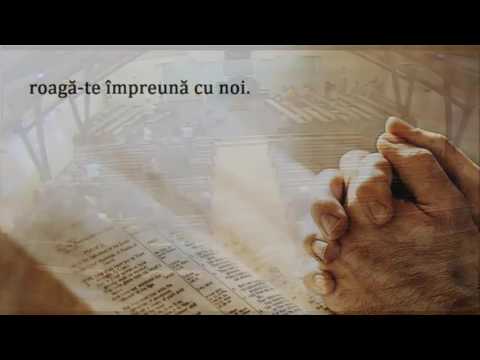 27 noiembrie 2016 Mihai Petroesc