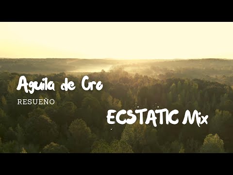 Little Whale, Sariel Orenda, UAK - Aguila De Oro (Ecstatic Mix)