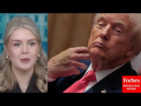 Video | Leavitt Asked About Trump's Hand Bandages: 'Could You Please Explain What That Is About?'