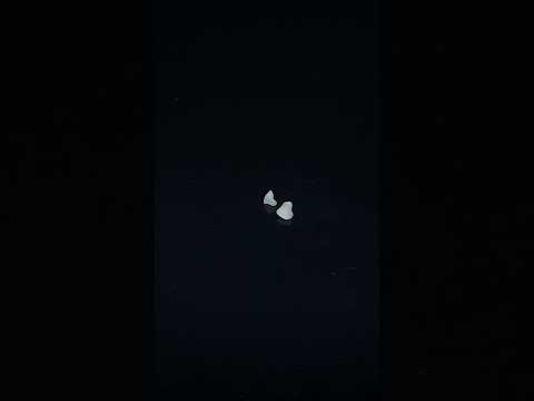YouTube 썸네일