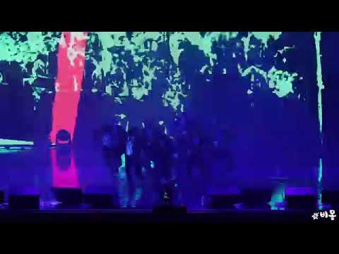 190811 BTS IDOL fancam 4HD Lotte Family Concert