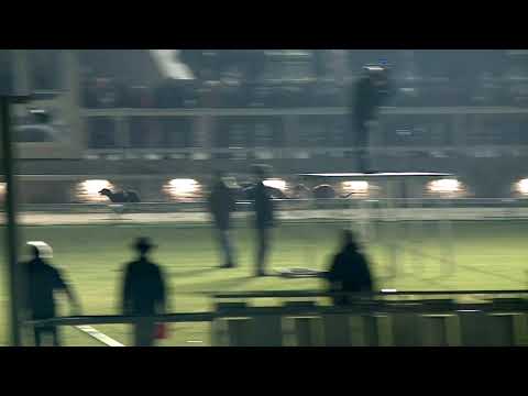 2019.12.31. - AGÁR FUTAM