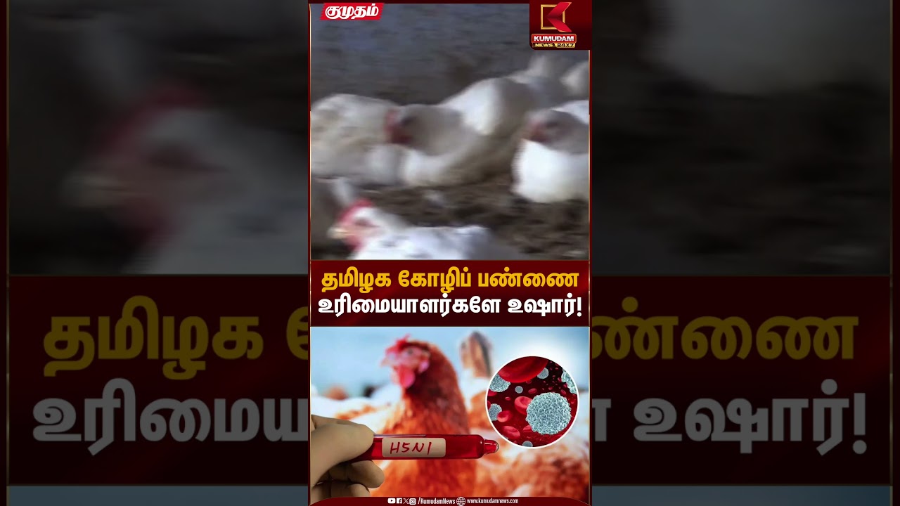 Bird Flu Alert | தமிழக கோழிப் பண்ணை உரிமையாளர்களே உஷார்! | Kumudam News
