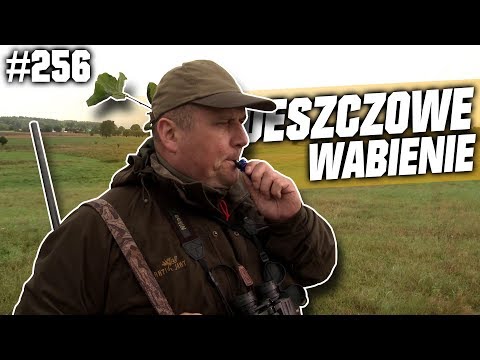 Darz Bór odc 256 - Deszczowe Wabienie ze Sławkiem Pawlikowskim