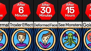 Timeline: If You Stare At The Mirror Forever