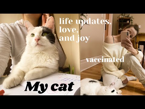 Just Adopted A Cat From A Rescue Center | my life updates - got vaccinated!