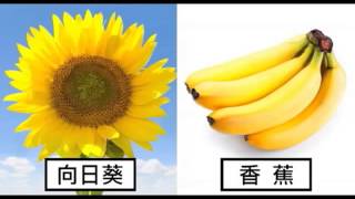 [討論] 邱毅跟黃國昌誰比較厲害？