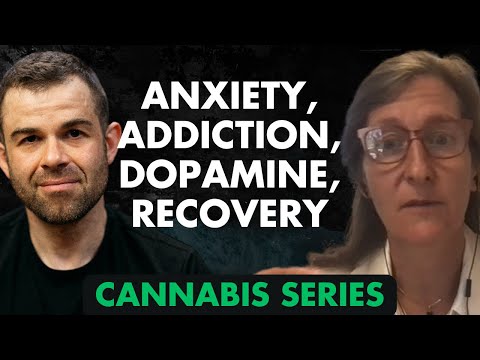Stop Using Cannabis: Reduce Your Anxiety, Heal Your Brain & Improve Your Life | Dr. Anna Lembke