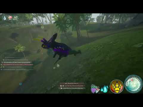 Pachy 8 or sumthin. | Beasts of Bermuda