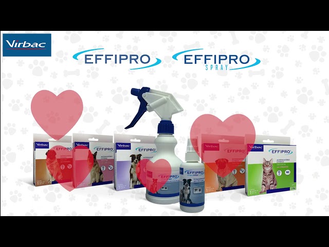 video apresentando a marca Effipro