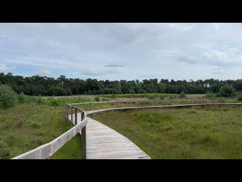 Diersfordter Wald Hiking trail - Wesel, Germany