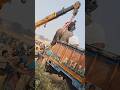 Angry Elephant Loading In Truck Trendingshorts Shorts