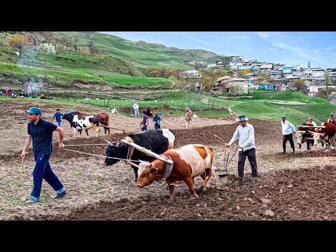 The Ulengovs and Tatiana Ulengova