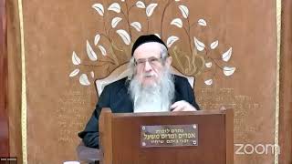 הרה"ג הר וועכטר שליט"א ח' סיון תשפ"ד - דרך מצוותיך מצוות משא הארון בכתף (הרב אברהם מנחם מענדל וכטר) - התמונה מוצגת ישירות מתוך אתר האינטרנט יוטיוב. זכויות היוצרים בתמונה שייכות ליוצרה. קישור קרדיט למקור התוכן נמצא בתוך דף הסרטון