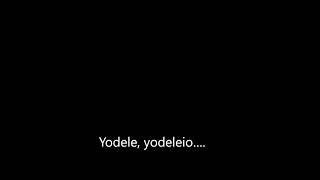 Alex Florea feat Ilinca – Yodel It! Lyrics On Screen