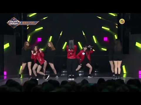 풍뎅이(PDE)-STAY(머물러줘) Live