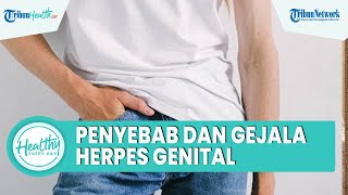Penyakit Menular Seksual yang Perlu Diwaspadai, Kenali Penyebab dan Gejala Herpes Genital