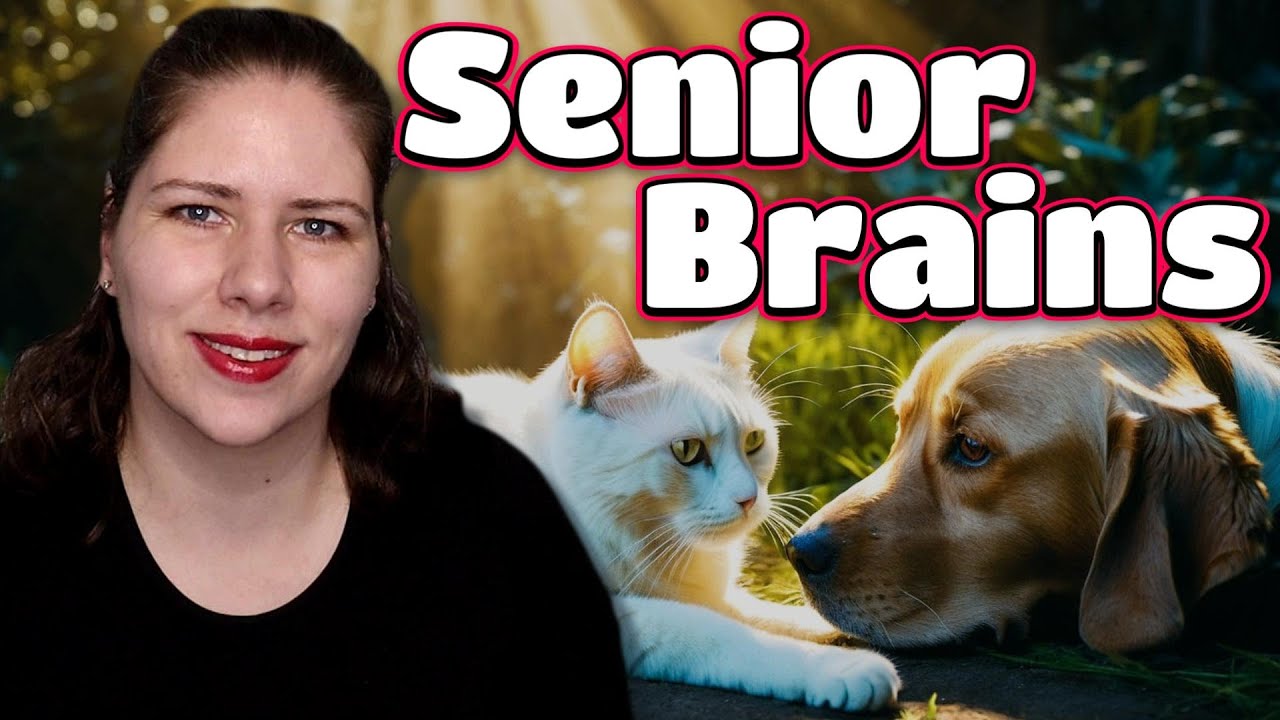Caring for Aging Pets: Vet's Advice on Cognitive Dysfunction
