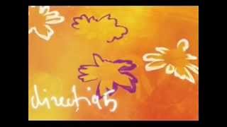 directia 5 - Viata este minunata (Ambiental Jazz)