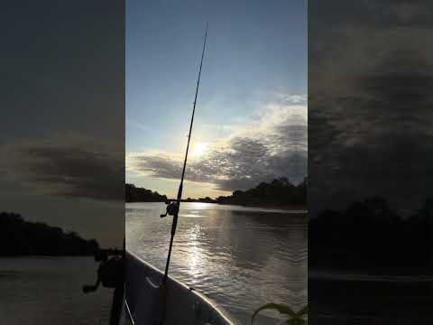 "Una jornada de Pesca en Cayastá: Entre Amigos, Naturaleza y Momentos Que Marcan el Alma"