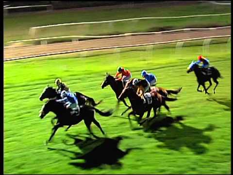 Galoppo 20/02/2016 - 7° corsa