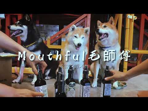 校犬們與奧利塔專訪的幕後花絮(影片)