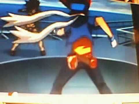 Storm Pegasis 105RF VS Rock Leone 145WB