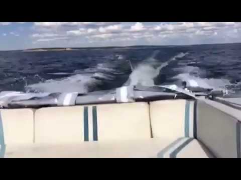 Nidelv 18 0~28 knots