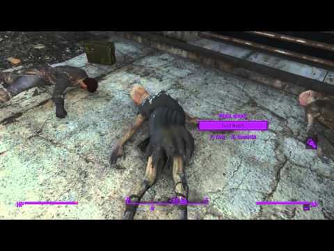 Fallout 4 Playthrough Part 61 - Mysterious Flyby