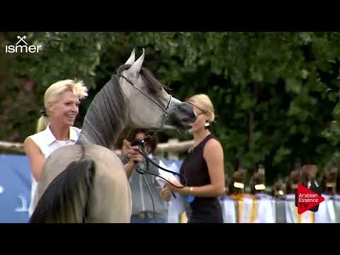 Strohen 2018 C Show - Class 6