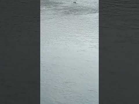 #bavani #dam #nature #sakthi