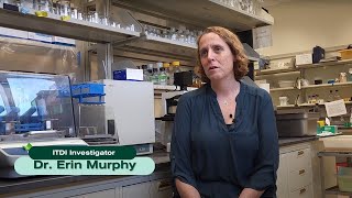 Dr. Erin Murphy