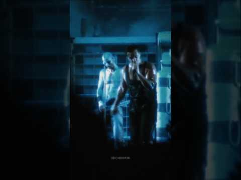 Stein Um Stein - Rammstein
