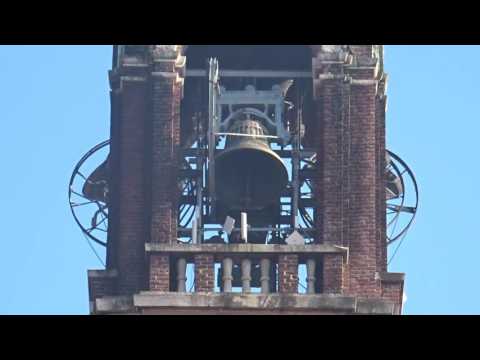 Le campane di Villa Cortese (MI) - Nuovo concerto solenne