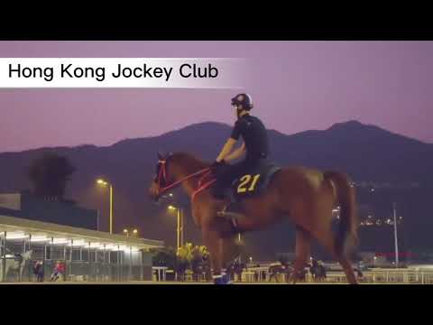Jockey Club Hong Kong #hongkongtour