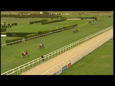 Herbstgalopprennen Oktoberfest: 5a corsa Haflinger/Haflinger Rennen 09.10.2022