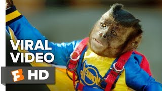 Monkey Up Full movie  { Hindi Dubbing }